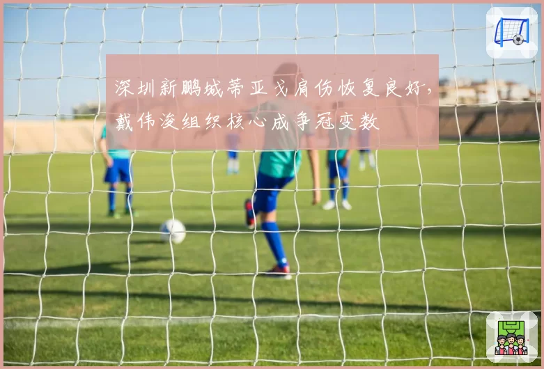 深圳新鹏城蒂亚戈肩伤恢复良好，戴伟浚组织核心成争冠变数