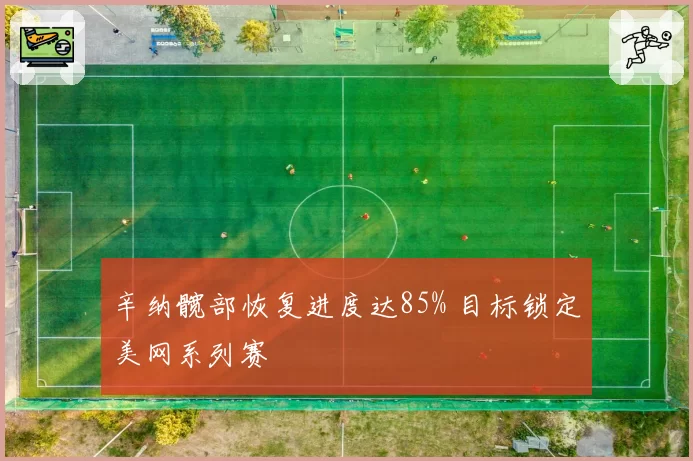 辛纳髋部恢复进度达85% 目标锁定美网系列赛