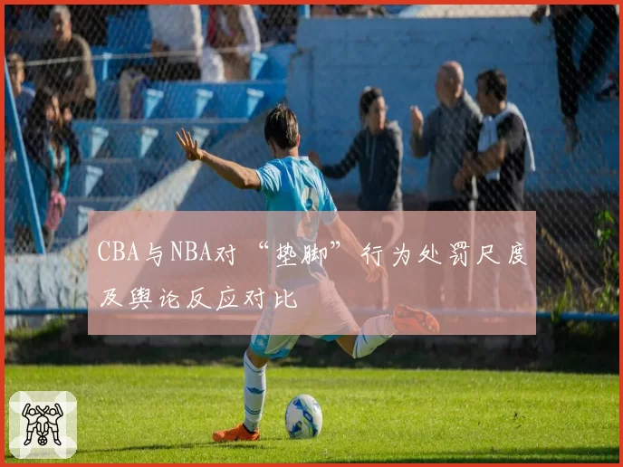 CBA与NBA对“垫脚”行为处罚尺度及舆论反应对比