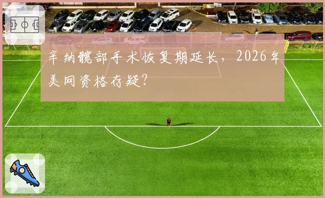 辛纳髋部手术恢复期延长，2026年美网资格存疑？