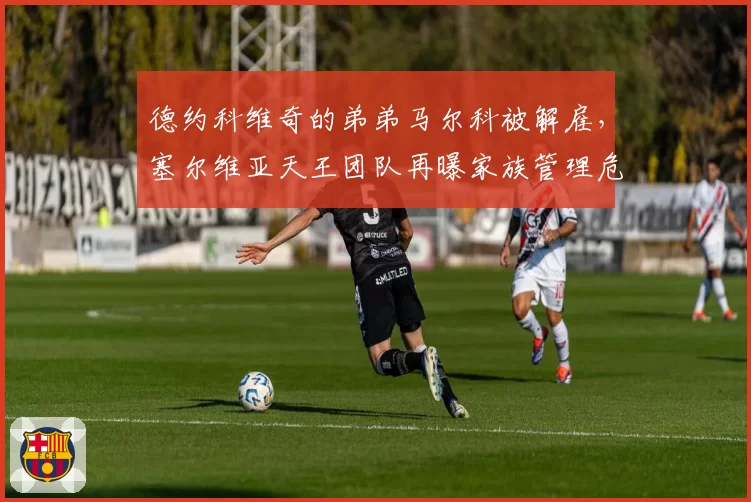 德约科维奇的弟弟马尔科被解雇，塞尔维亚天王团队再曝家族管理危机