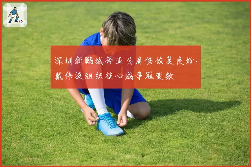 深圳新鹏城蒂亚戈肩伤恢复良好，戴伟浚组织核心成争冠变数