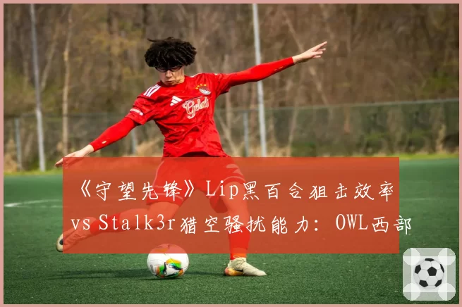 《守望先锋》Lip黑百合狙击效率 vs Stalk3r猎空骚扰能力:OWL西部决赛对位