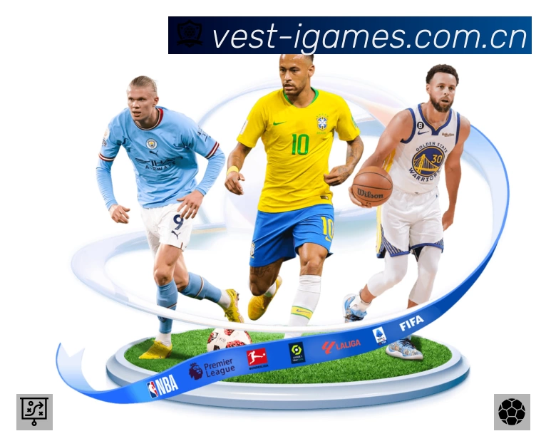 结构优化认证展示